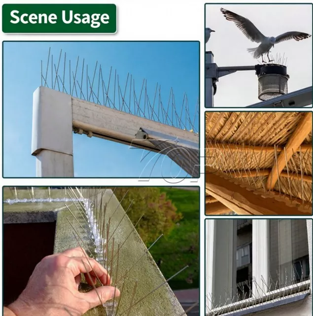 Anti Bird Net Nails